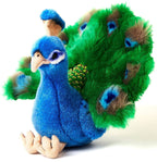 Pauw knuffel
