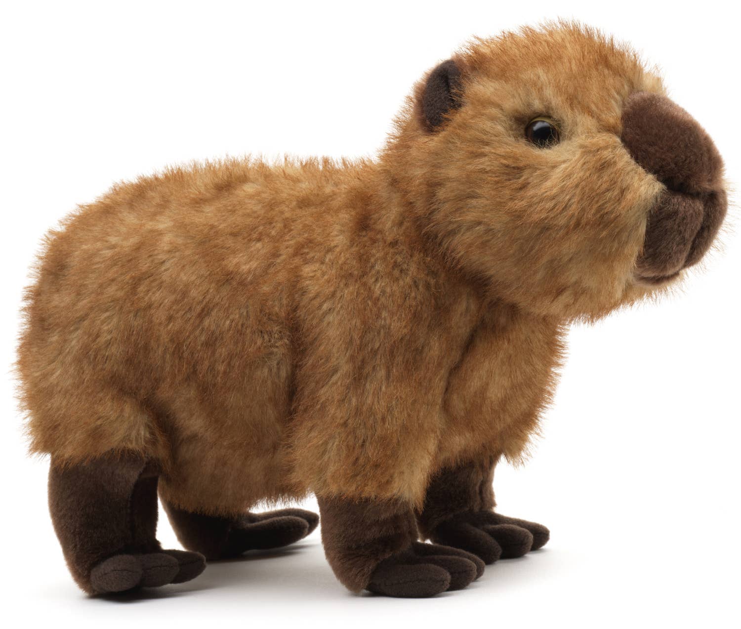 Capibara knuffel