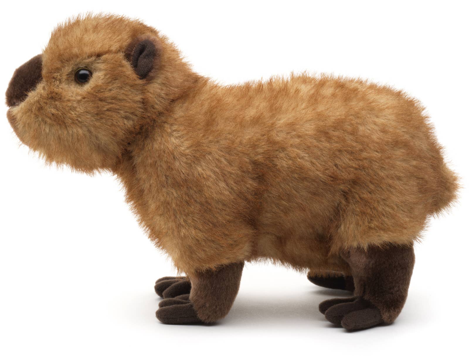 Capibara knuffel