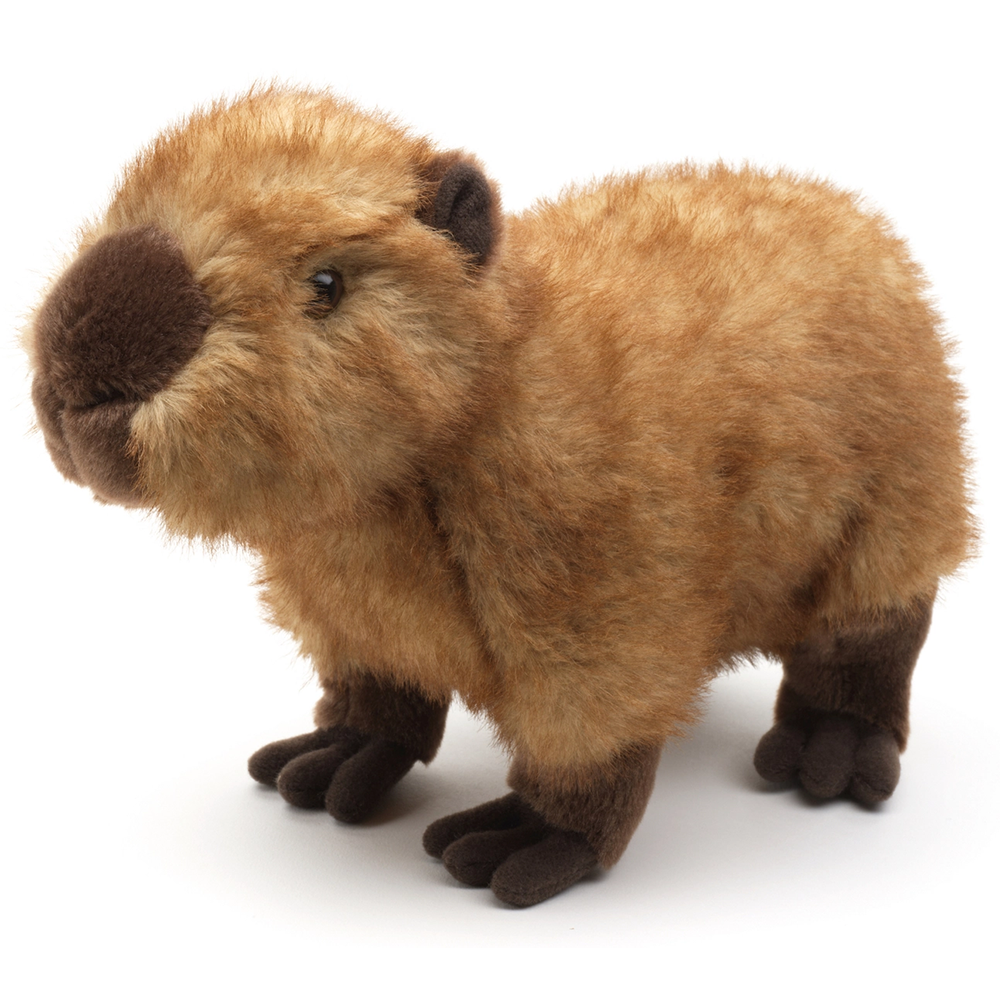 Capibara knuffel